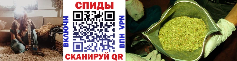 БУТИРАТ буратино  Холм 