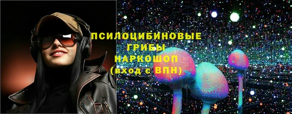 меф Няндома