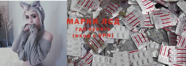 МДПВ Алзамай